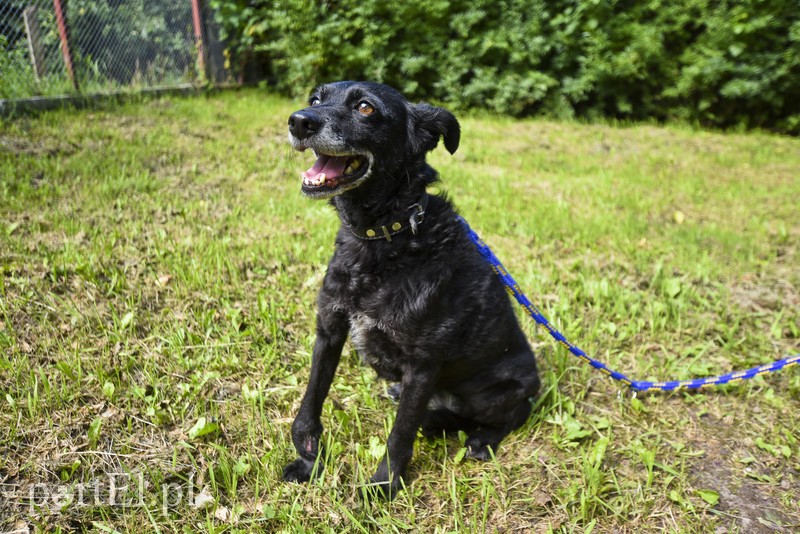 Galeria pod psem i kotem (Odc.11) zdjęcie nr 181042
