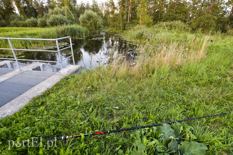 Elbląg Tragedia w gminie Markusy: utonął mężczyzna