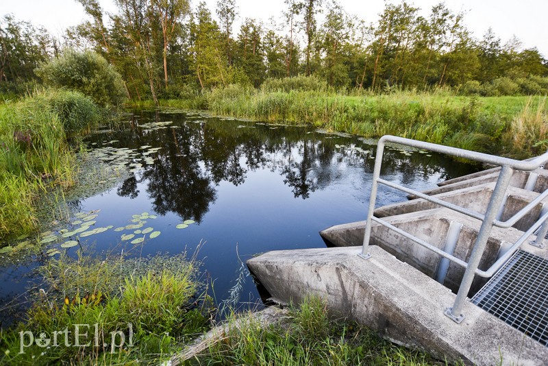 Tragedia w gminie Markusy: utonął mężczyzna zdjęcie nr 181045