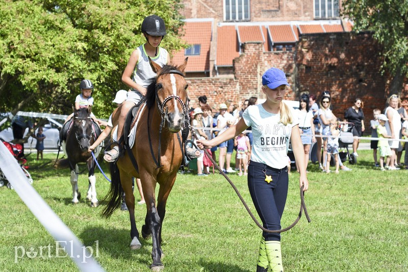 Mundurowi na luzie zdjęcie nr 181158