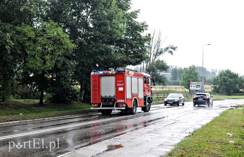 Drzewo runęło na samochód zdjęcie nr 181460