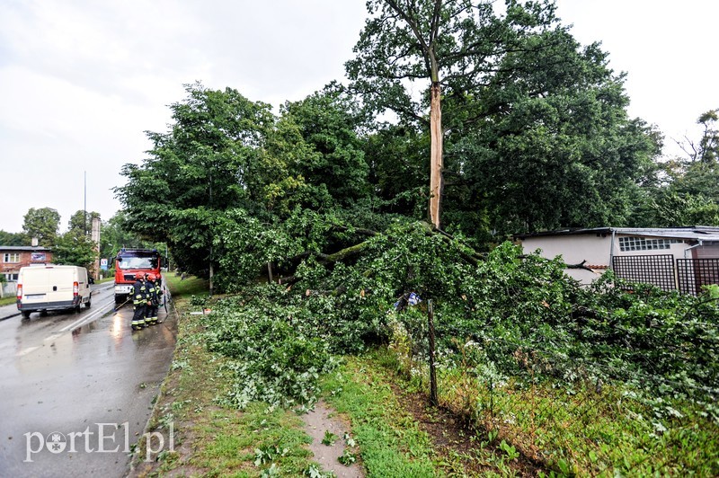 Drzewo runęło na samochód zdjęcie nr 181455