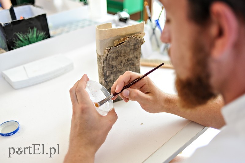 Konserwacja zdjęcie nr 181811