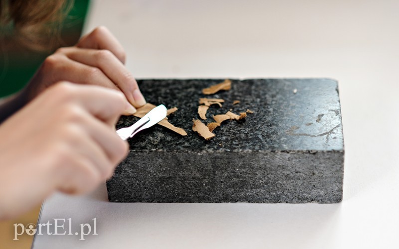 Konserwacja zdjęcie nr 181797