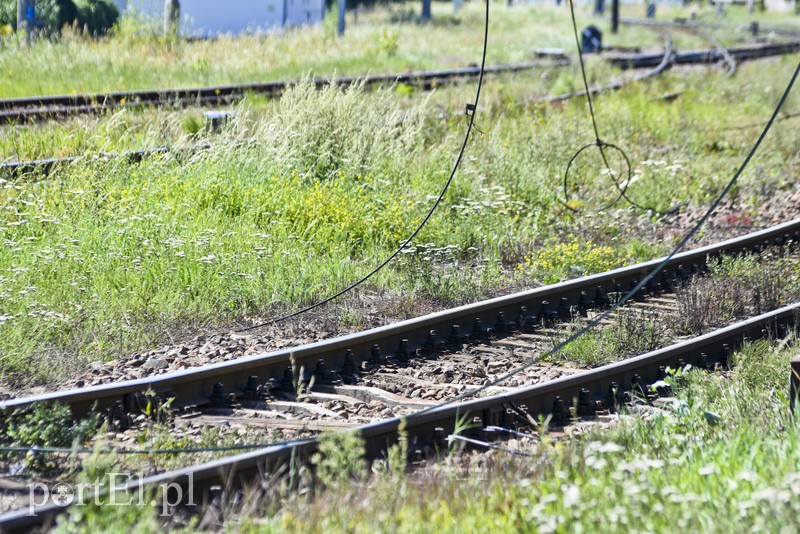 Nie kursują pociągi, Lotnicza zamknięta! zdjęcie nr 182012