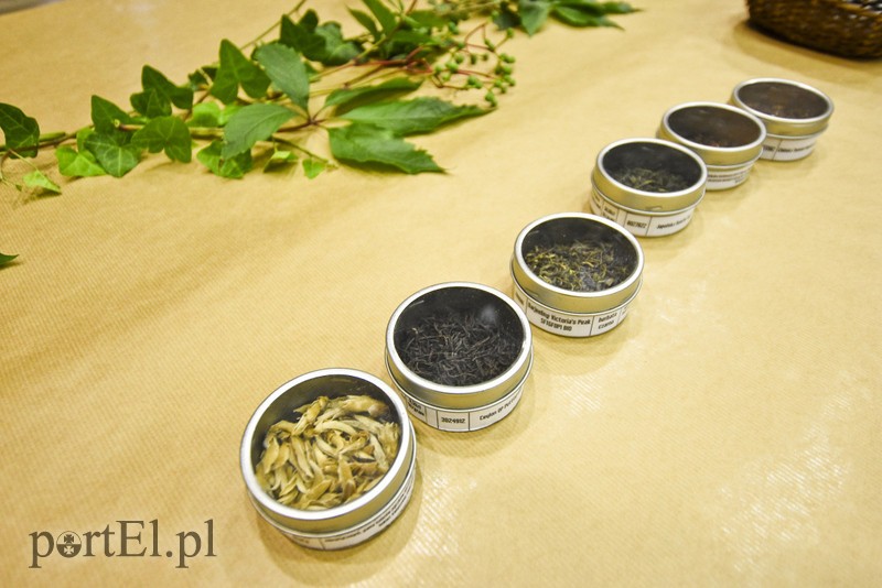 Tajemnice herbacianego krzewu zdjęcie nr 182123