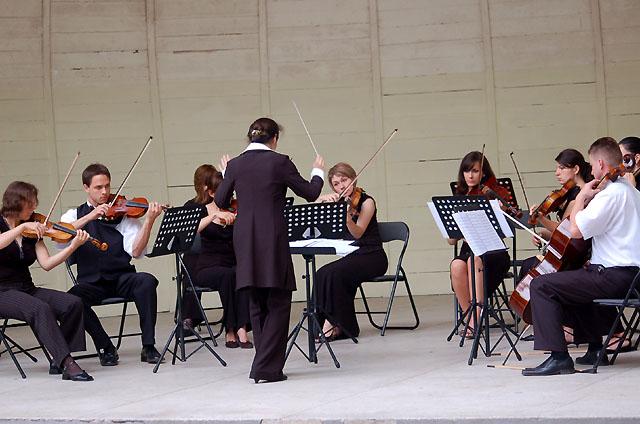 Koncert Elbląskiej Orkiestry Kameralnej zdjęcie nr 14510