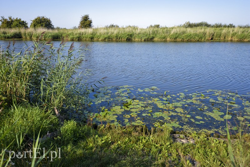Ciało mężczyzny w rzece Elbląg zdjęcie nr 182750