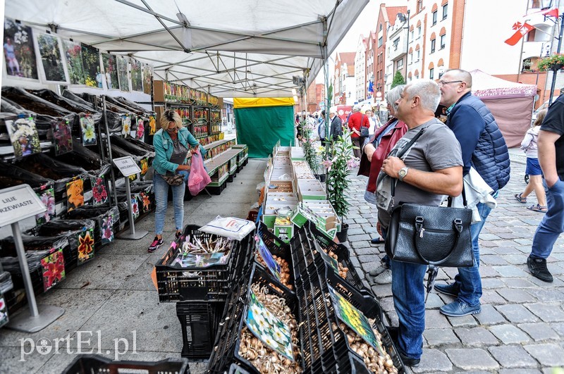 Smacznego świętowania! zdjęcie nr 183307