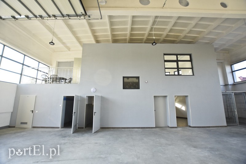 Hangar, którym żeglarze mogą się chwalić zdjęcie nr 184049