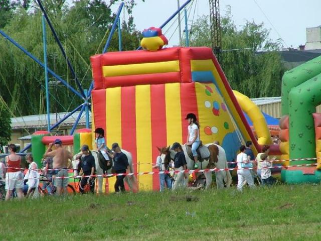 Piknik lotniczy zdjęcie nr 14649
