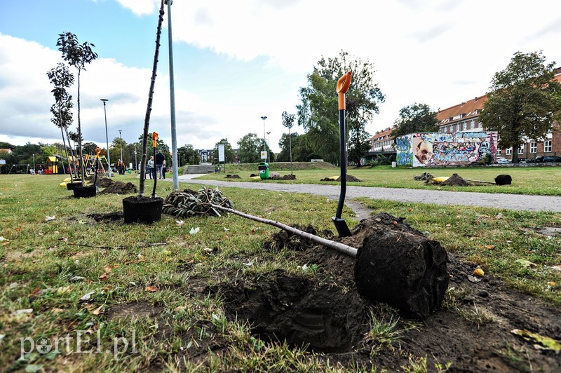 20 wiśni na dwudziestolecie PWSZ zdjęcie nr 185344