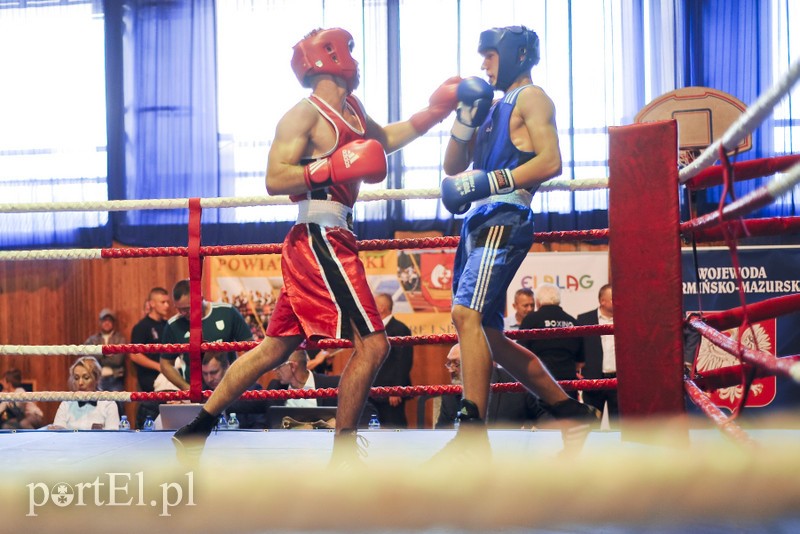 Lewy prosty w hali MOS-u zdjęcie nr 185570