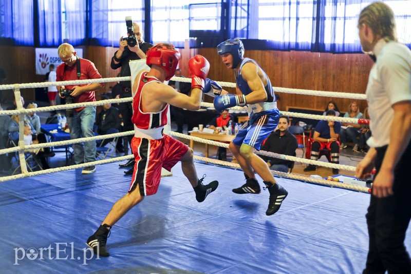 Lewy prosty w hali MOS-u zdjęcie nr 185567