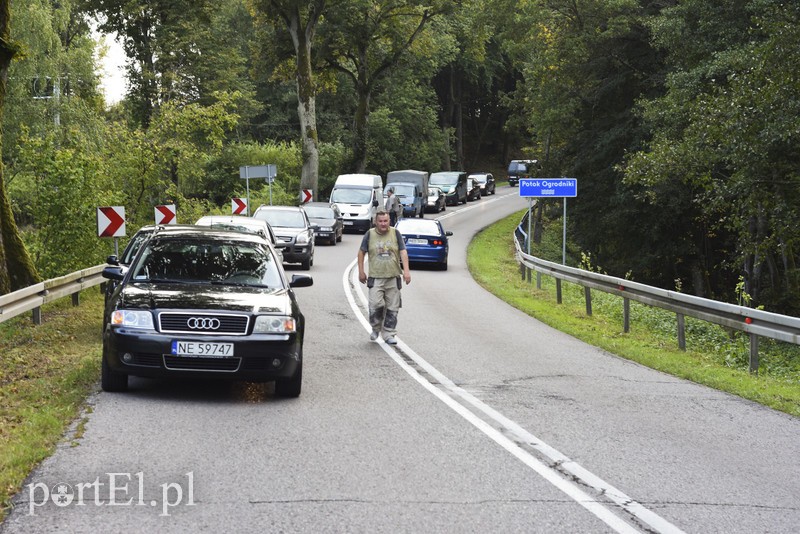 Tragiczny wypadek przed Hutą Żuławską zdjęcie nr 185702