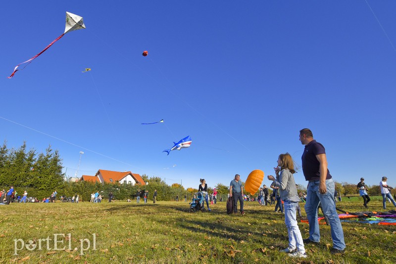 Łęcze, latawce, wiatr... zdjęcie nr 186614