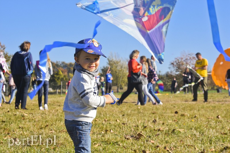 Łęcze, latawce, wiatr... zdjęcie nr 186595