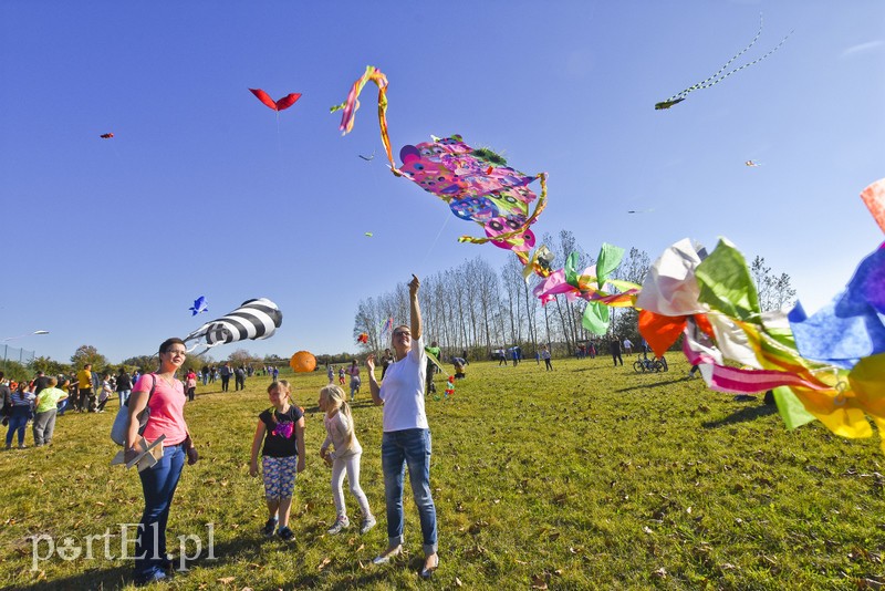 Łęcze, latawce, wiatr... zdjęcie nr 186589