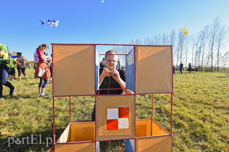 Łęcze, latawce, wiatr... zdjęcie nr 186603