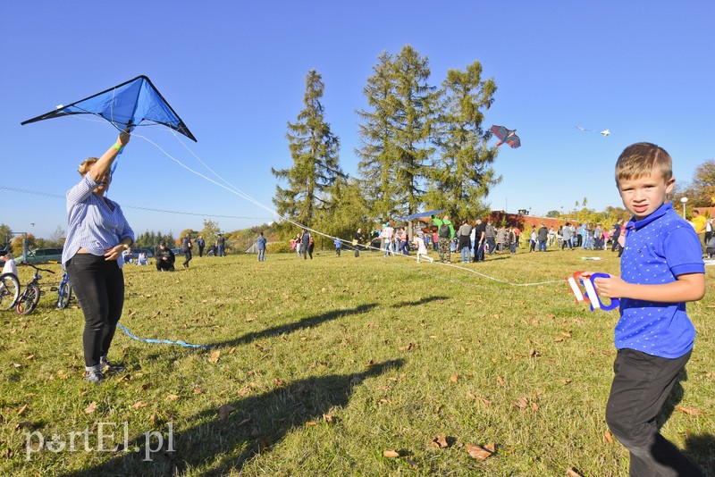 Łęcze, latawce, wiatr... zdjęcie nr 186584