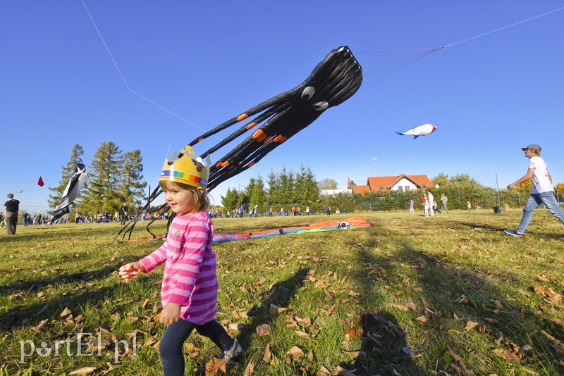 Łęcze, latawce, wiatr... zdjęcie nr 186582