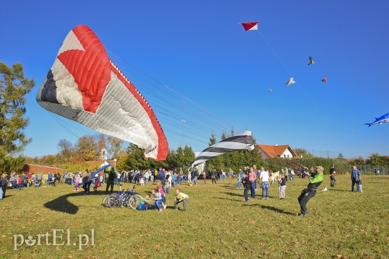 Łęcze, latawce, wiatr... zdjęcie nr 186605