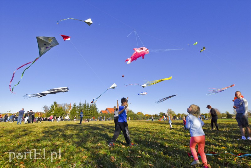 Łęcze, latawce, wiatr... zdjęcie nr 186606