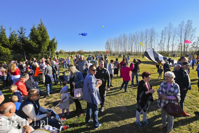 Łęcze, latawce, wiatr... zdjęcie nr 186601