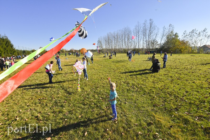 Łęcze, latawce, wiatr... zdjęcie nr 186590