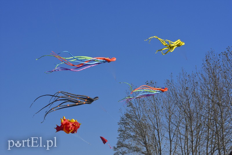 Łęcze, latawce, wiatr... zdjęcie nr 186596