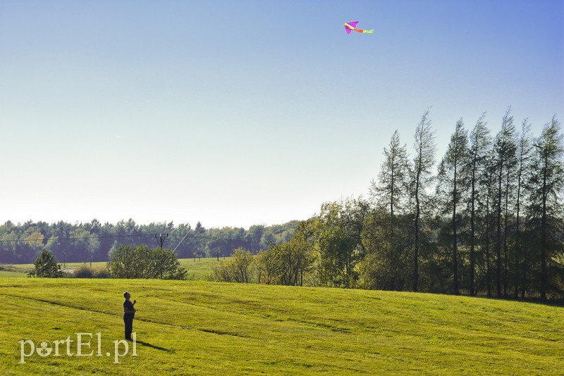 Łęcze, latawce, wiatr... zdjęcie nr 186616