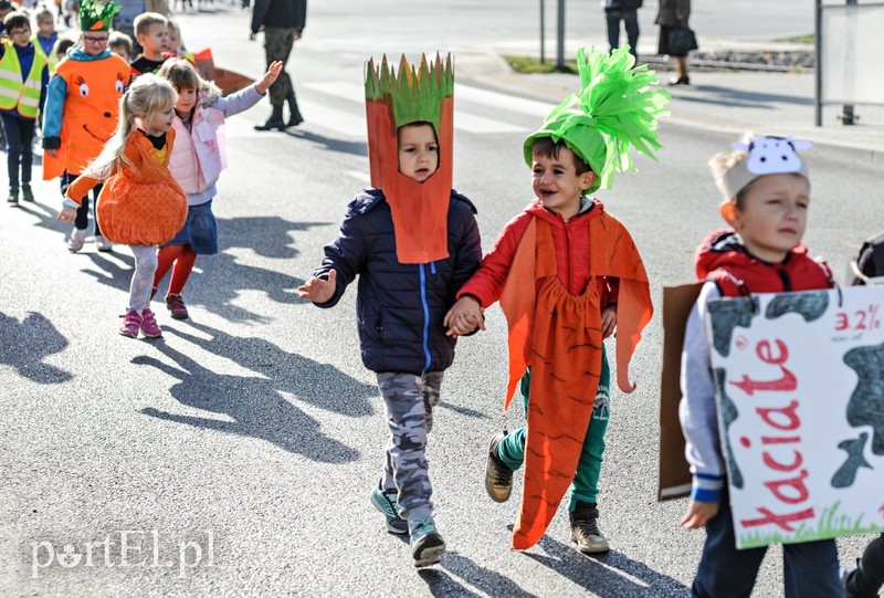 Strajk żywności zdjęcie nr 186808