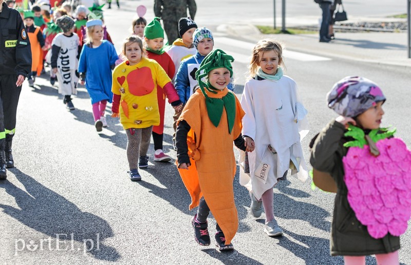 Strajk żywności zdjęcie nr 186810