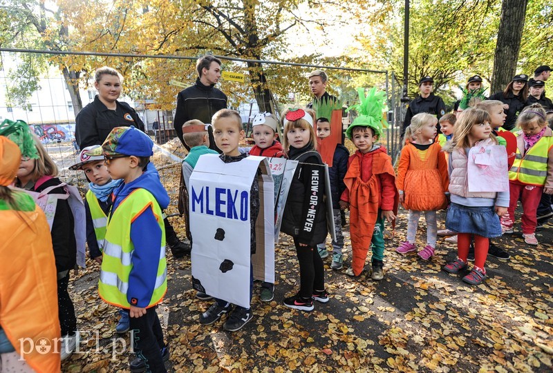 Strajk żywności zdjęcie nr 186796