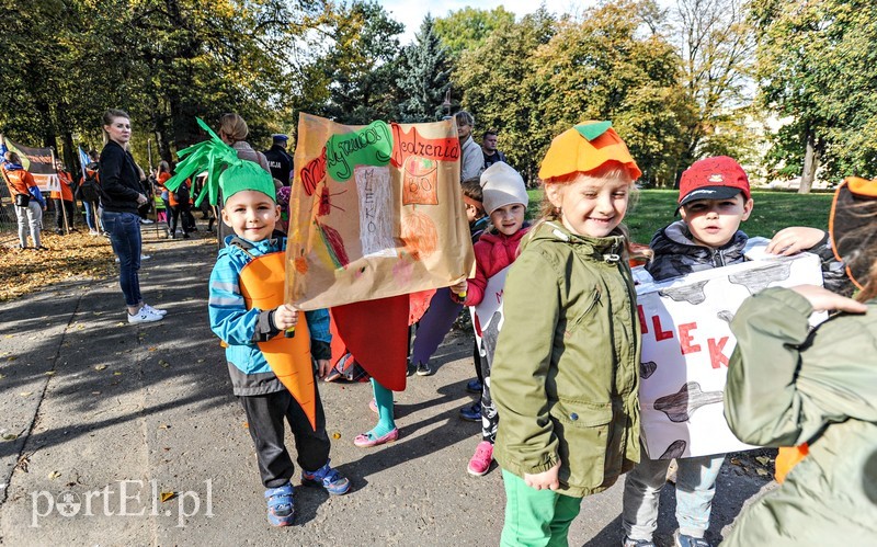 Strajk żywności zdjęcie nr 186800