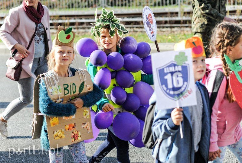 Strajk żywności zdjęcie nr 186815