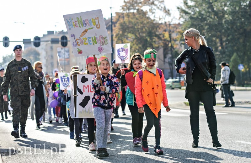 Strajk żywności zdjęcie nr 186813