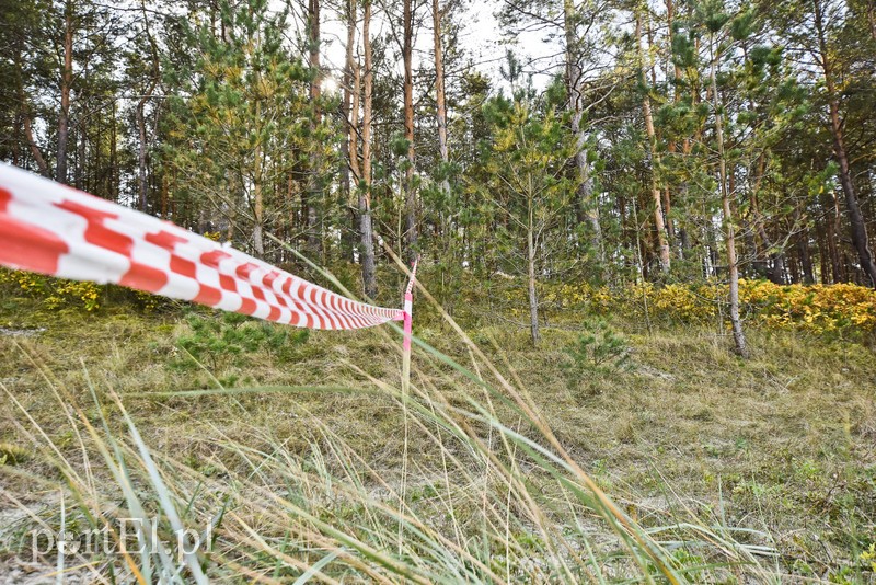 Jak prezes PiS na Mierzei kopał zdjęcie nr 186847