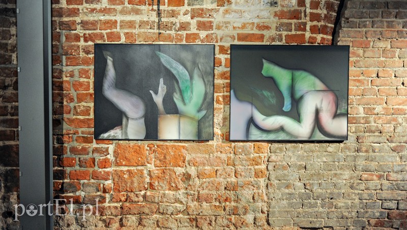 Kulisy Galerii EL zdjęcie nr 187071