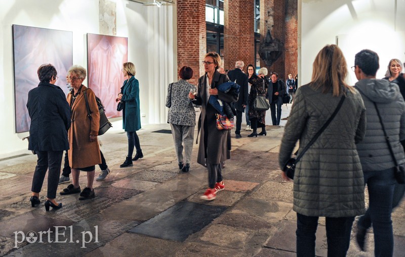 Kulisy Galerii EL zdjęcie nr 187074