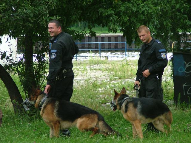 Festyn z okazji Święta Policji zdjęcie nr 14899