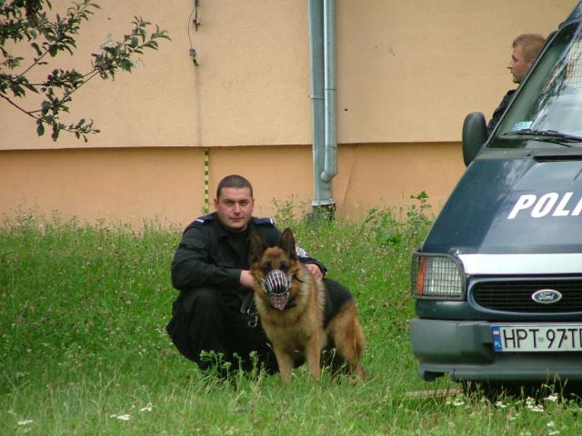 Festyn z okazji Święta Policji zdjęcie nr 14897