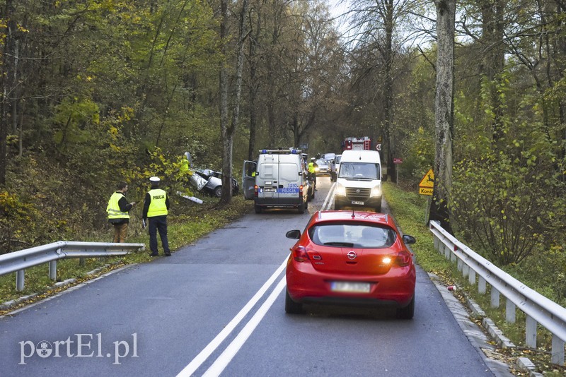 Elbląg Audi uderzyło w drzewo