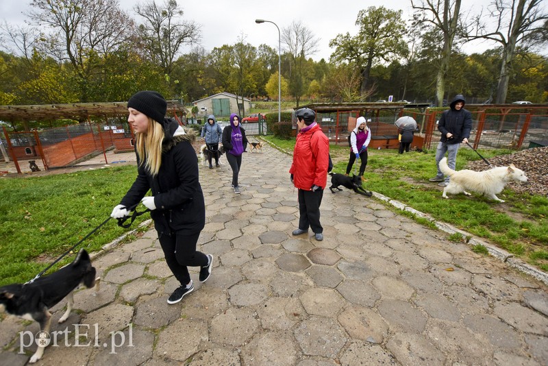 Biegiem na spacer! zdjęcie nr 187614