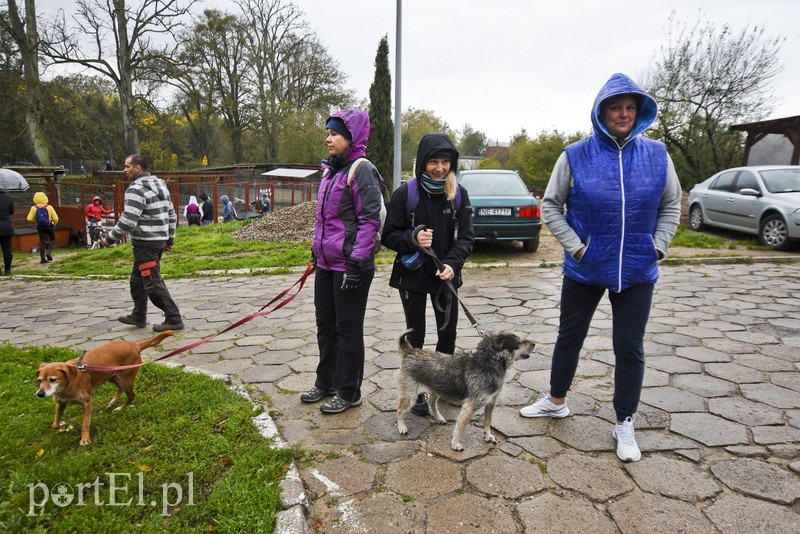 Biegiem na spacer! zdjęcie nr 187610