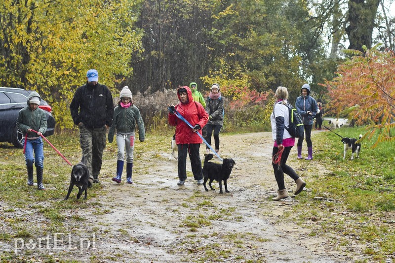 Biegiem na spacer! zdjęcie nr 187625