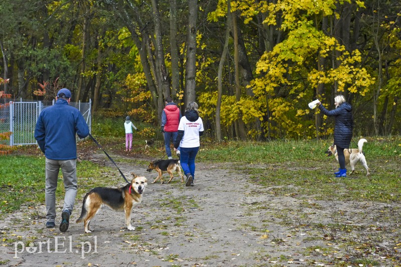 Biegiem na spacer! zdjęcie nr 187633