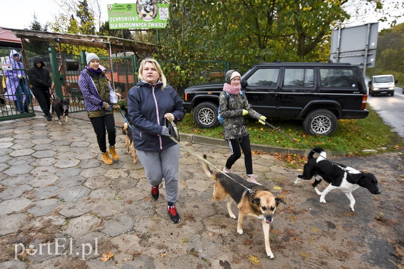 Biegiem na spacer! zdjęcie nr 187618