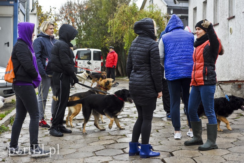 Biegiem na spacer! zdjęcie nr 187616