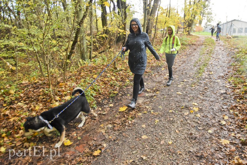 Biegiem na spacer! zdjęcie nr 187629